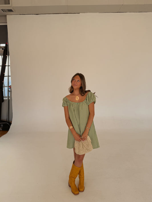 Higgins Mini Dress