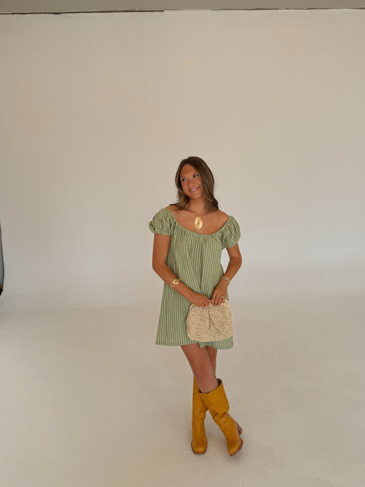 Higgins Mini Dress
